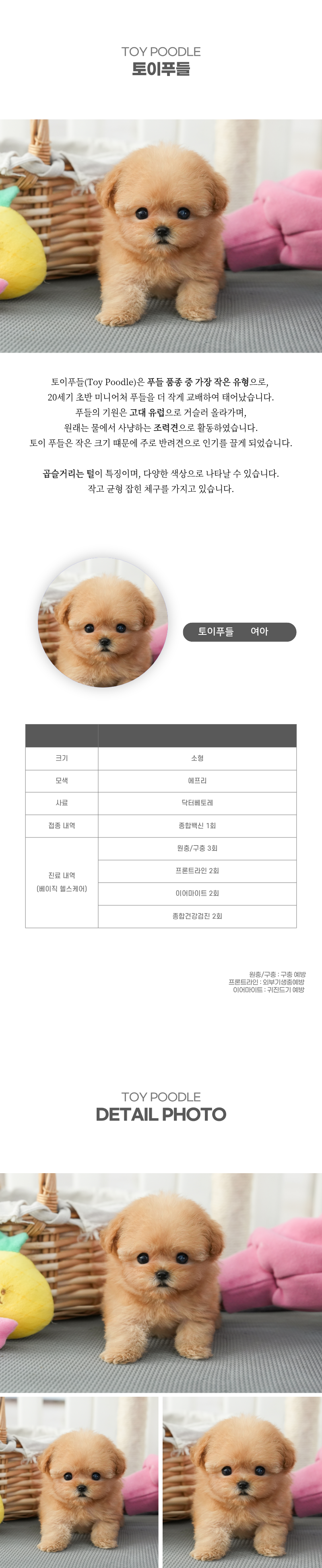 토이푸들_상세이미지_2